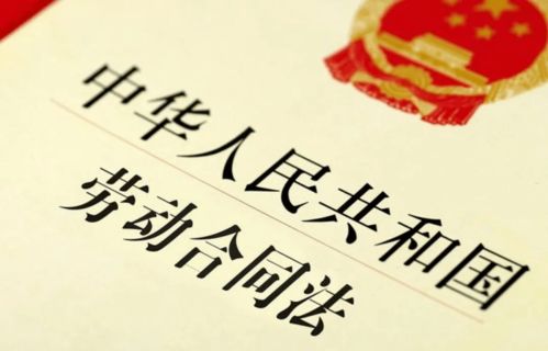 法律无法解决的问题怎么办