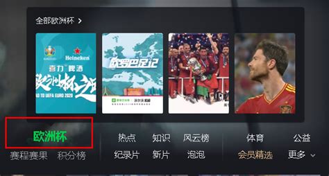 哪些软件可以看欧洲杯