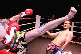 孙颖莎/王艺迪遭遇挫折，不敌日本组合遗憾失四强